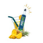 Image bouteille ÉcoSoda avec ananas