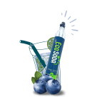 Image bouteille ÉcoSoda avec bleuet